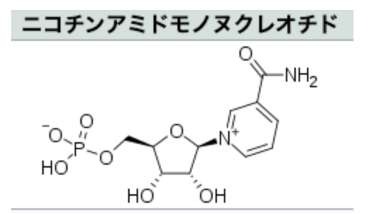 老化を遅らせるビタミンNMN